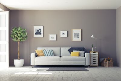 Living Room Interior Painting